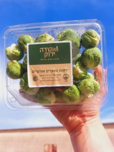 כרוב ניצנים טרי