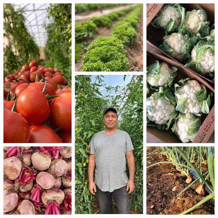 by Farmerimtest