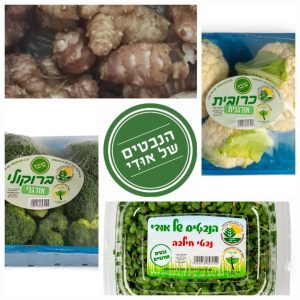ברוקולי, כרובית ונבטים אורגניים