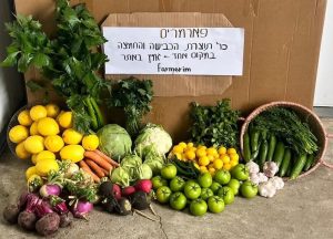 מבחר פירות וירקות אורגניים ישראליים