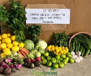מבחר ירקות אורגניים טריים לכבישה
