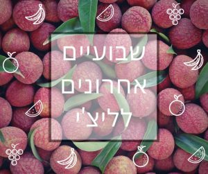 ליצ'י טרי במבצעי סוף הקיץ