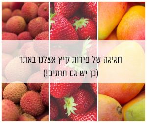 מבחר פירות קיץ ותוצרת אורגנית