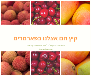 מבחר פירות אורגניים טריים למשלוח