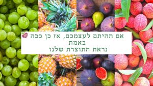 מבחר פירות אורגניים טריים לקיץ
