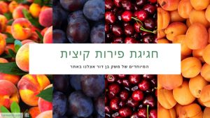 מבחר פירות קיץ אורגניים