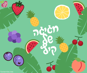 מבחר פירות קיץ אורגניים