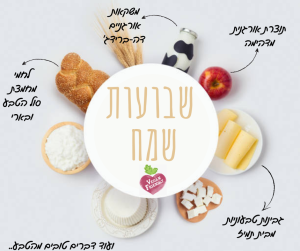 מבחר פירות וירקות אורגניים לחג