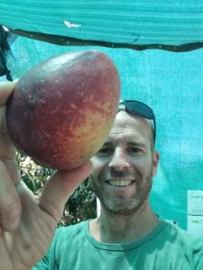 רון ממשק דובר לצד מנגו עומר
