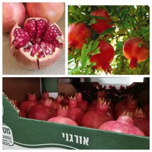רימונים אורגניים אדומים ועסיסיים