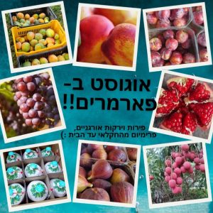 מבחר פירות וירקות אורגניים