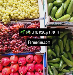 מגוון פירות וירקות טריים