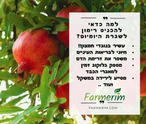 רימונים אורגניים טריים ועסיסיים