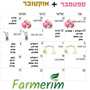 ארגז תוצרת אורגנית טרייה לחג