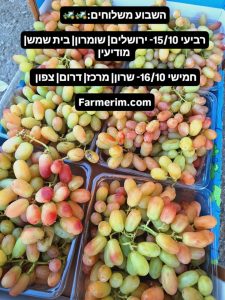 מבחר ירקות ופירות אורגניים טריים