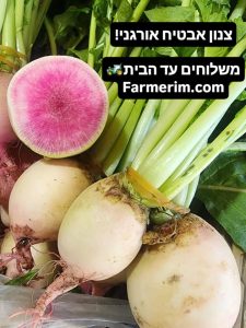 צנון אבטיח אורגני פרוס וצבעוני