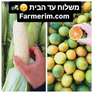 קלמנטינות מיכל ותירס לבן אורגניים