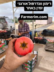 רימון וונדרפול אורגני בשל