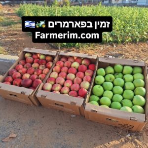תפוחים אדומים וירוקים מרמת הגולן