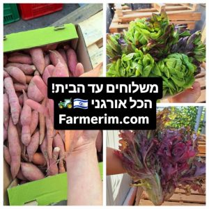 חסות אורגניות ובטטות בייבי