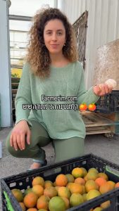 קלמנטינות מיכל טריות בארגז
