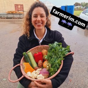 מבחר ירקות אורגניים טריים למרק