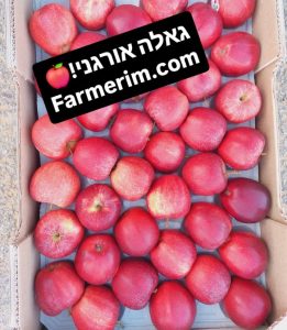 תפוח גאלה אורגני אדום ועסיסי