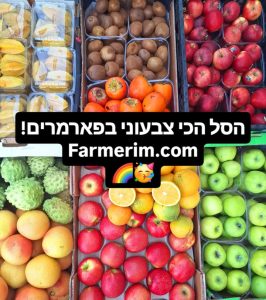 מגוון פירות צבעוניים טריים