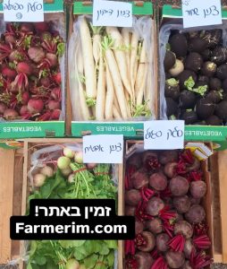 סלקים וצנונים אורגניים צבעוניים