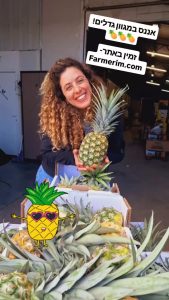 ארגזי אננס טרי במגוון גדלים