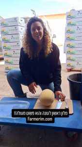 מלון אורגני מתוק מהערבה