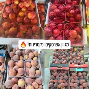 נקטרינות ואפרסקים טריים