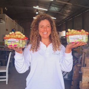 אשכול ענבי טלי ירוקים ישראליים