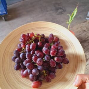 ענבי פייר קיס מתוקים ללא חרצנים