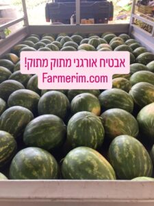אבטיח אורגני בשל ומתוק