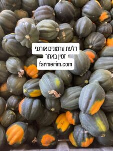 דלעת ערמונים אורגנית למילוי