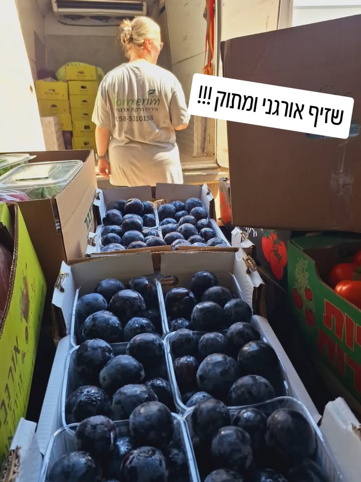 שזיפי בלאק ספלנדור אורגניים