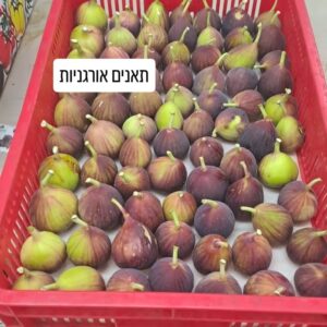 תאנים אורגניות טריות באריזה