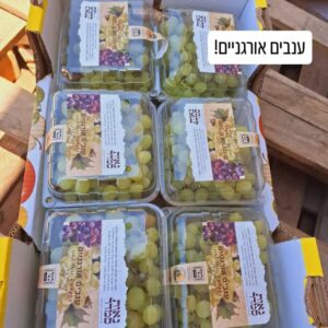 ענבי ארלי סוויט אורגניים