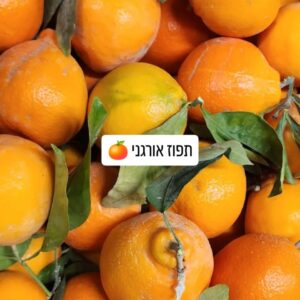 תפוזים אורגניים טריים למשלוח עד הבית
