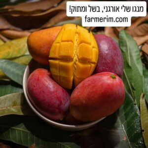מנגו אורגני טרי במשלוח עד הבית