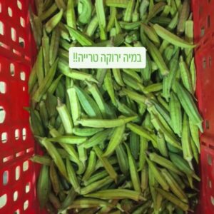 במיה ירוקה אורגנית טרייה