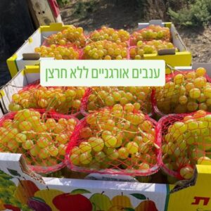 אשכול ענבי מיסטרי אורגניים