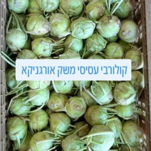 קולורבי אורגני טרי מהחקלאי