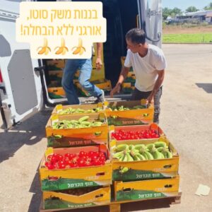 עגבניות, בננות, מלפפונים וכרישה טריים