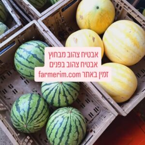 אבטיחים אורגניים מסוגים שונים