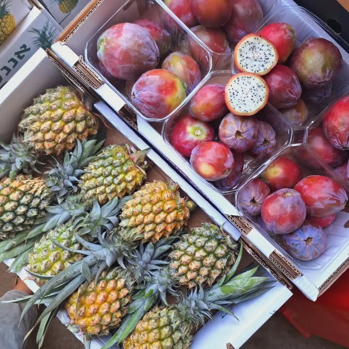 אננס קווין ופרי קובו טריים