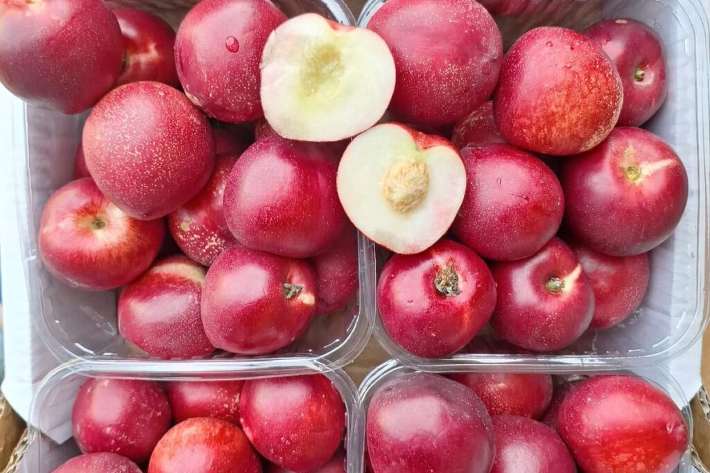 נקטרינה לבנה ויו וויט אורגנית