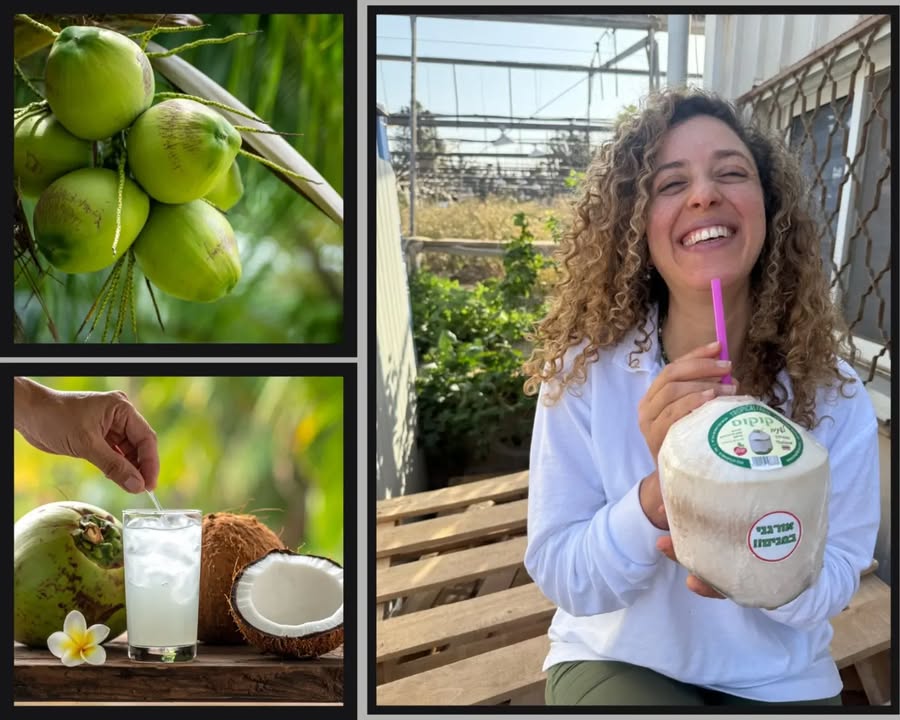 קוקוס טרי ומי קוקוס