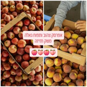אפרסקים ותפוחים ממשק חזיזה